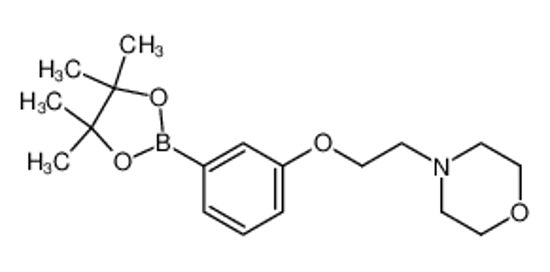 Picture of 4-[2-[3-(4,4,5,5-tetramethyl-1,3,2-dioxaborolan-2-yl)phenoxy]ethyl]morpholine