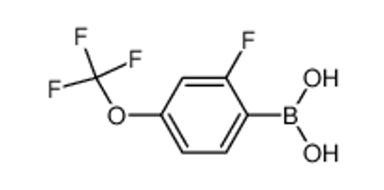 Picture of 2-Fluoro-4-trifluoromethoxyphenylboronic acid