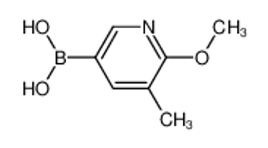 Picture of (6-Methoxy-5-methylpyridin-3-yl)boronic acid