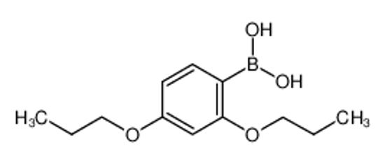 Picture of (2,4-dipropoxyphenyl)boronic acid