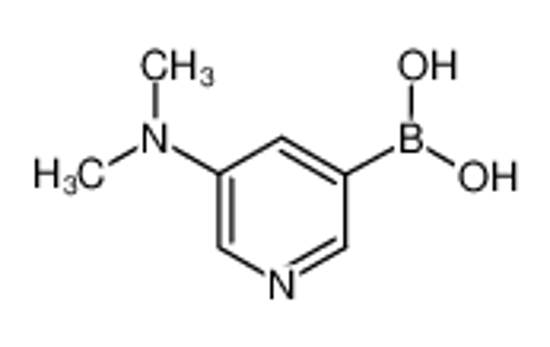 Imagem de (5-(Dimethylamino)pyridin-3-yl)boronic acid