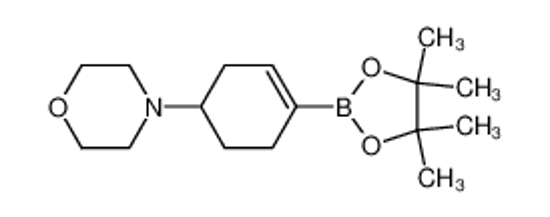 Picture of 4-[4-(4,4,5,5-tetramethyl-1,3,2-dioxaborolan-2-yl)cyclohex-3-en-1-yl]morpholine