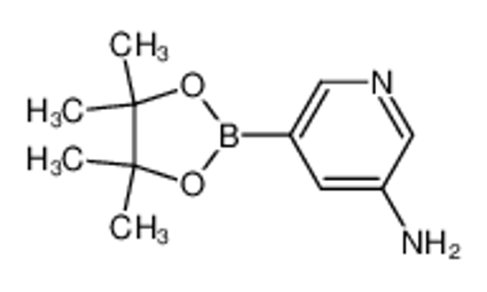 Picture of 3-Aminopyridine-5-boronic Acid Pinacol Ester