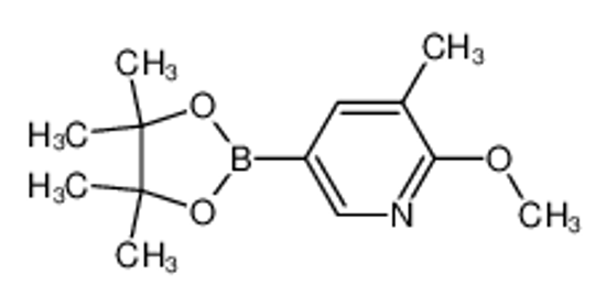 Picture of 2-methoxy-3-methyl-5-(4,4,5,5-tetramethyl-1,3,2-dioxaborolan-2-yl)pyridine