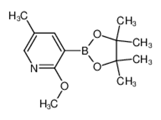 Imagem de 2-methoxy-5-methyl-3-(4,4,5,5-tetramethyl-1,3,2-dioxaborolan-2-yl)pyridine