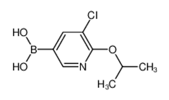 Imagem de (5-Chloro-6-isopropoxypyridin-3-yl)boronic acid