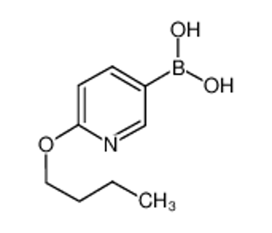 Picture of (6-butoxypyridin-3-yl)boronic acid