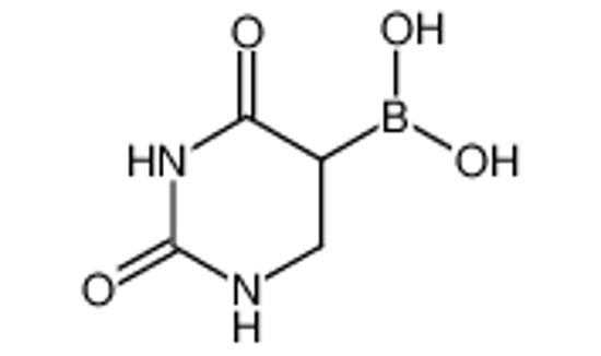 Picture of (2,4-dioxo-1,3-diazinan-5-yl)boronic acid