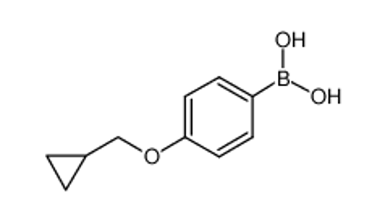 Picture of [4-(cyclopropylmethoxy)phenyl]boronic acid