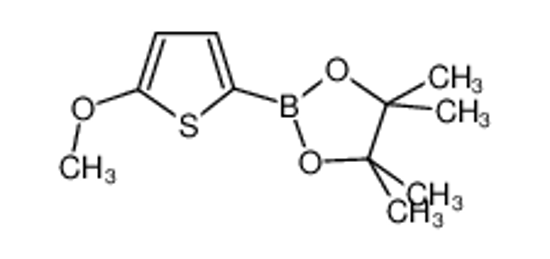 Picture of 2-(5-Methoxythiophen-2-yl)-4,4,5,5-tetramethyl-1,3,2-dioxaborolane