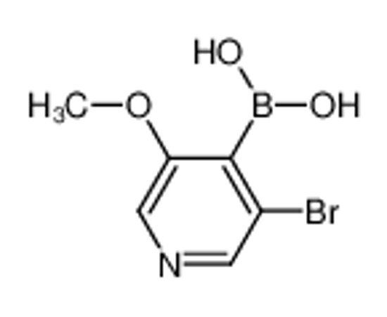 Изображение (3-bromo-5-methoxypyridin-4-yl)boronic acid