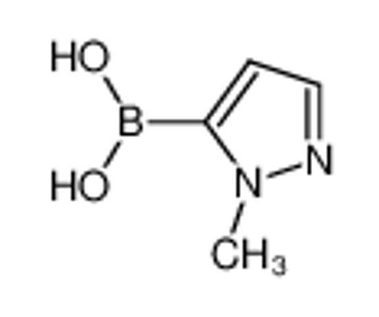 Изображение (1-Methyl-1H-Pyrazol-5-yl)-Boronic Acid