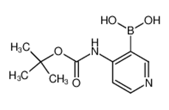 Picture of [4-[(2-methylpropan-2-yl)oxycarbonylamino]pyridin-3-yl]boronic acid