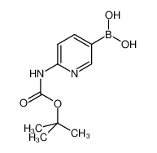 Imagem de (6-((tert-Butoxycarbonyl)amino)pyridin-3-yl)boronic acid