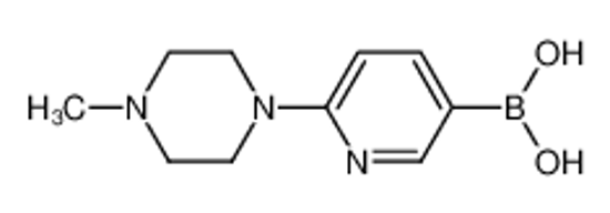 Изображение (6-(4-Methylpiperazin-1-yl)pyridin-3-yl)boronic acid