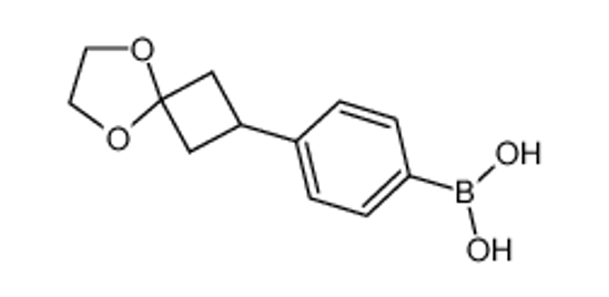 Picture of [4-(5,8-dioxaspiro[3.4]octan-2-yl)phenyl]boronic acid