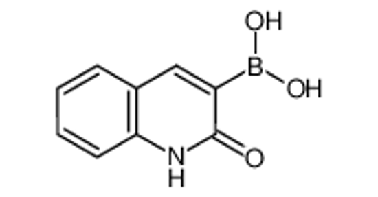 Picture of (2-oxo-1H-quinolin-3-yl)boronic acid