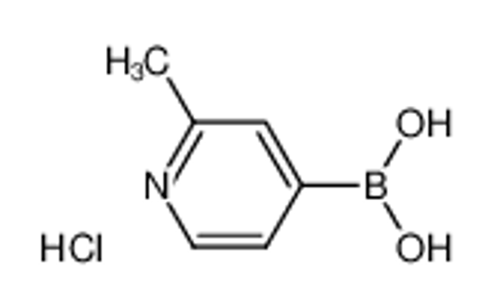 Picture of (2-methylpyridin-4-yl)boronic acid,hydrochloride