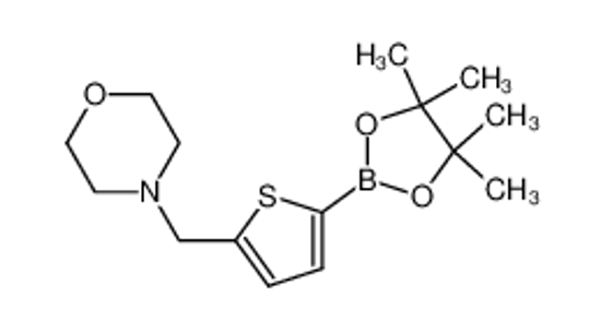 Picture of 4-[[5-(4,4,5,5-tetramethyl-1,3,2-dioxaborolan-2-yl)thiophen-2-yl]methyl]morpholine