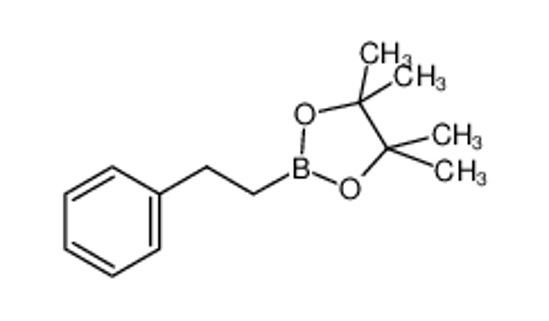 Изображение 4,4,5,5-tetramethyl-2-(2-phenylethyl)-1,3,2-dioxaborolane