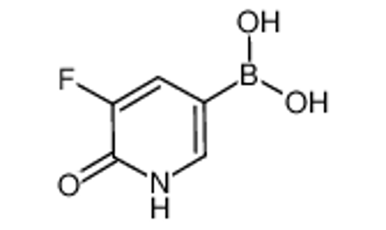 Picture of (5-fluoro-6-oxo-1H-pyridin-3-yl)boronic acid