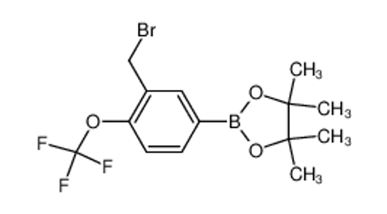 Picture of (3-Bromomethyl-4-trifluoromethoxyphenylboronic acid, pinacol ester