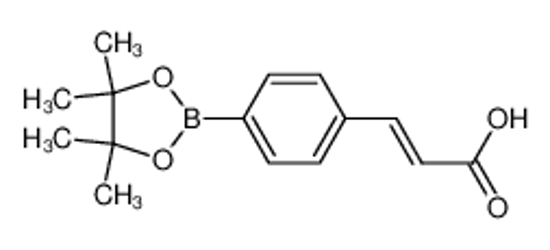 Picture of 4-(E-2-Carboxyvinyl)phenylboronic acid pinacol ester