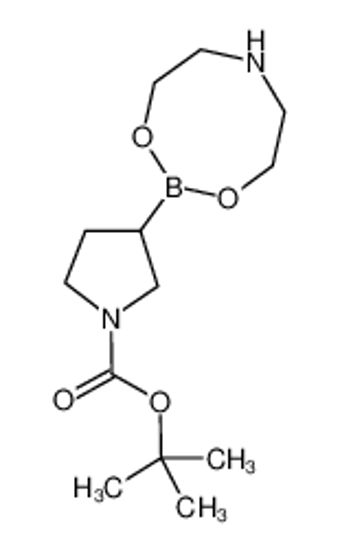 Picture of 1-(tert-Butoxycarbonyl)pyrrolidine-3-boronic acid diethanolamine ester