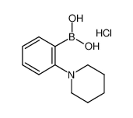 Picture of (2-piperidin-1-ylphenyl)boronic acid,hydrochloride