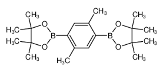Picture of 2,5-Dimethyl-1,4-phenylenediboronic acid, pinacol ester
