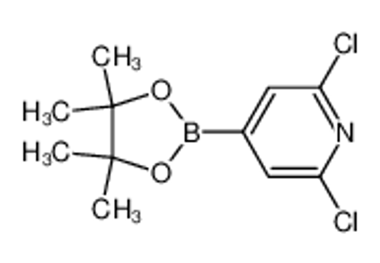 Picture of 2,6-Dichloropyridine-4-boronic acid, pinacol ester