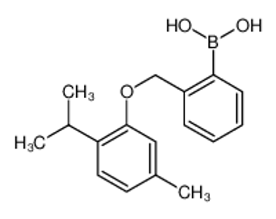 Изображение [2-[(5-methyl-2-propan-2-ylphenoxy)methyl]phenyl]boronic acid