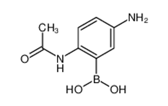Picture of (2-acetamido-5-aminophenyl)boronic acid