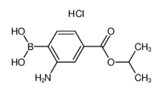 Picture of 2-Amino-4-(isopropoxycarbonyl)phenylboronic acid, HCl