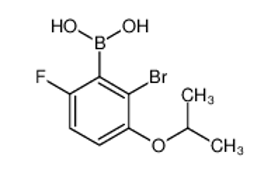 Picture of 2-Bromo-6-fluoro-3-isopropoxyphenylboronic acid