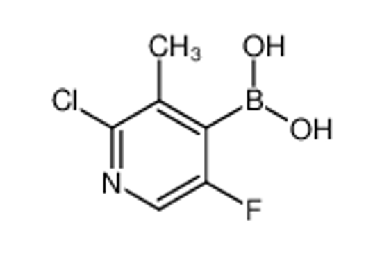 Picture of (2-chloro-5-fluoro-3-methylpyridin-4-yl)boronic acid