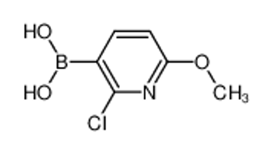 Imagem de (2-Chloro-6-methoxypyridin-3-yl)boronic acid