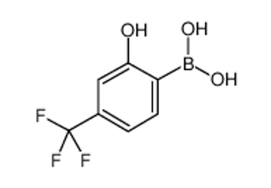 Picture of [2-hydroxy-4-(trifluoromethyl)phenyl]boronic acid