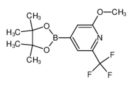 Picture of 2-Methoxy-6-trifluoromethylpyridine-4-boronic acid, pinacol ester
