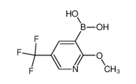 Picture of 2-Methoxy-5-trifluoromethylpyridine-3-boronic acid