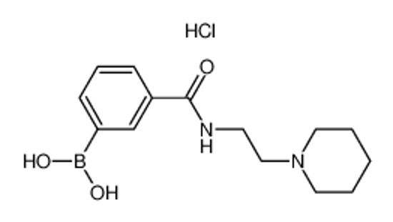 Picture of [3-(2-piperidin-1-ylethylcarbamoyl)phenyl]boronic acid,hydrochloride