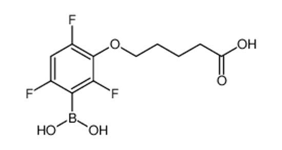Picture of 3-(4-Carboxybutoxy)-2,4,6-trifluorophenylboronic acid