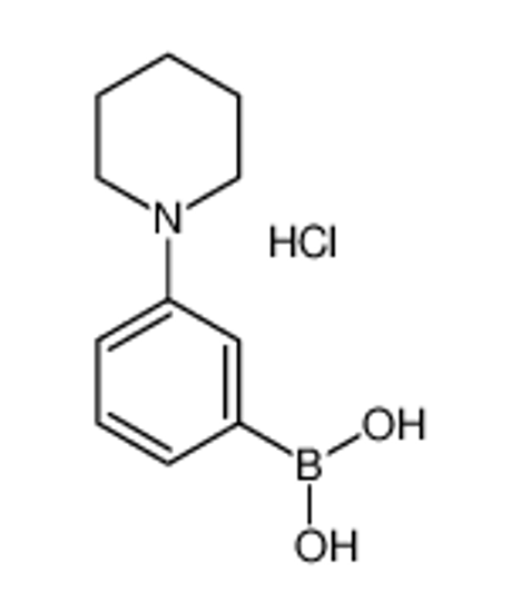 Picture of (3-piperidin-1-ylphenyl)boronic acid,hydrochloride