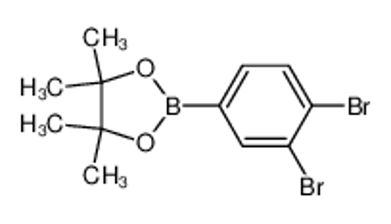 Picture of 3,4-Dibromophenylboronic acid, pinacol ester