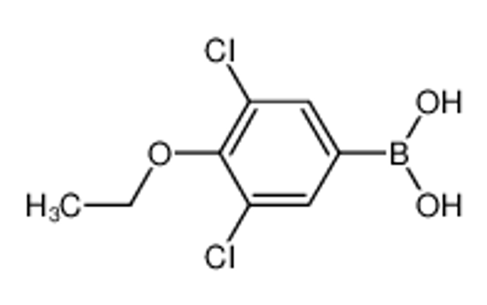 Imagem de (3,5-Dichloro-4-ethoxyphenyl)boronic acid