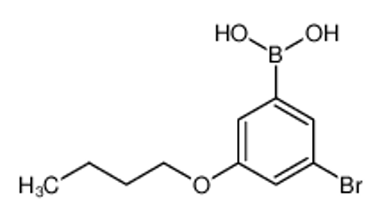 Picture of (3-Bromo-5-butoxyphenyl)boronic acid