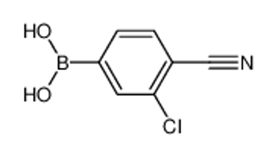Picture of 3-Chloro-4-cyanophenylboronic acid