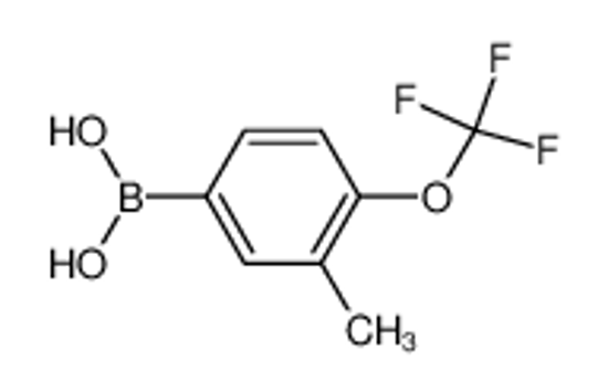 Picture of [3-methyl-4-(trifluoromethoxy)phenyl]boronic acid