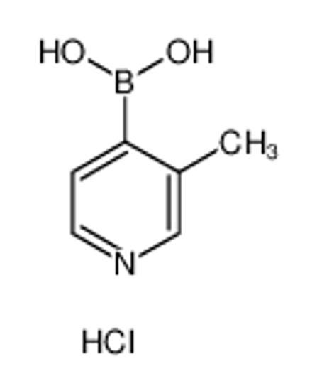 Picture of (3-methylpyridin-4-yl)boronic acid,hydrochloride