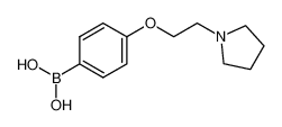 Picture of [4-(2-pyrrolidin-1-ylethoxy)phenyl]boronic acid
